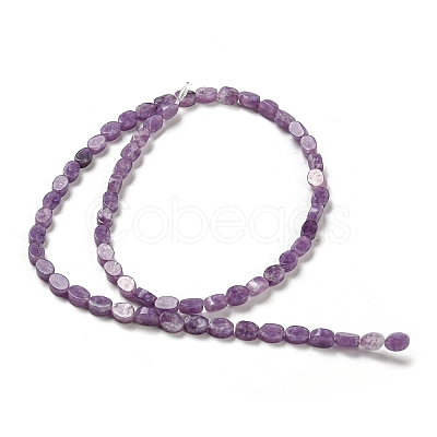 Natural Lepidolite/Purple Mica Stone Beads Strands G-M420-H12-03-1