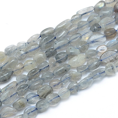 Natural Labradorite Beads Strands X-G-L550A-06-1