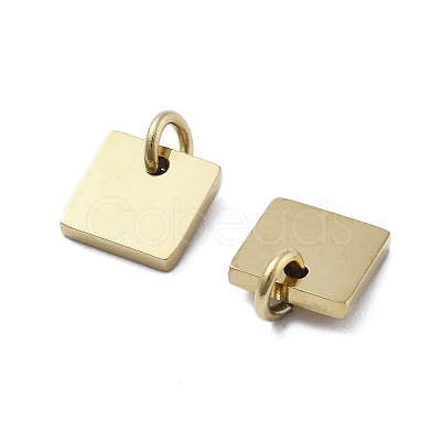 Geometric Figure Style 304 Stainless Steel Stamping Blank Tag Charms STAS-D302-03C-1