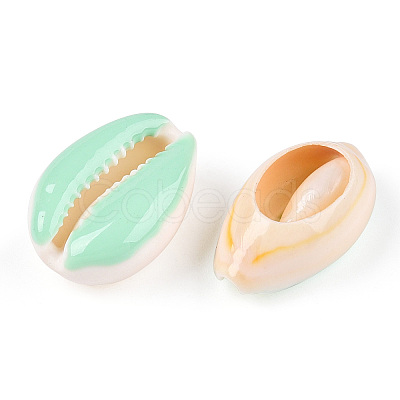 Natural Cowrie Shell Beads X-SHEL-S274-04H-1