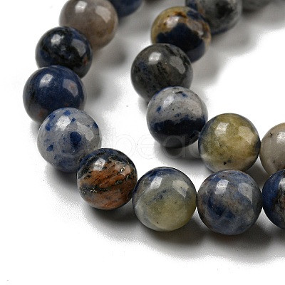 Natural Sodalite Beads Strands G-F591-13-1