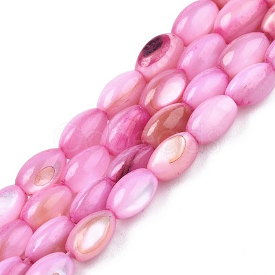 Freshwater Shell Beads Strands SHEL-T009-B15-03-1