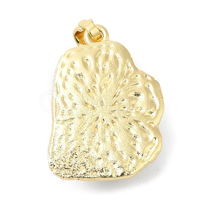 Rack Plating Brass Pendants KK-C033-04G-03-1