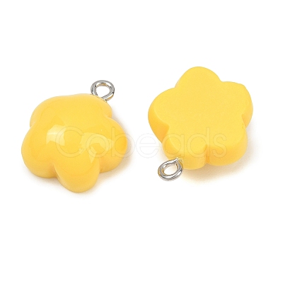 Opaque Resin Pendants RE-CBAF00C-12C-1