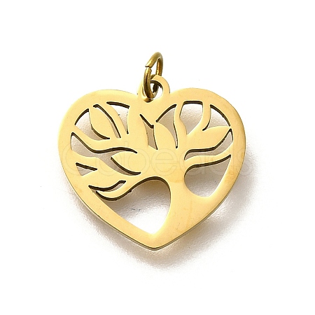 304 Stainless Steel Charms STAS-R153-39G-1