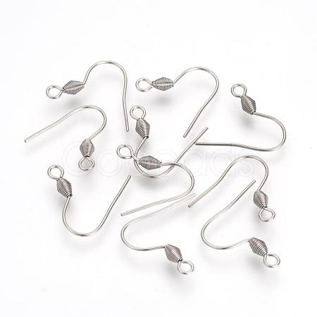 Tarnish Resistant 304 Stainless Steel Earring Hooks X-STAS-R071-30-1