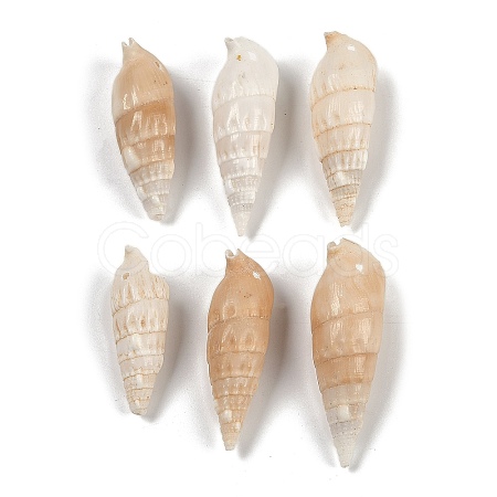 Natural Spiral Shell Beads SHEL-K009-17B-1