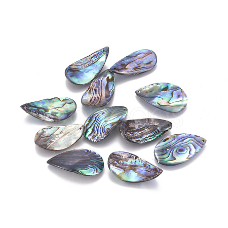 Natural Abalone Shell/Paua Shell Pendants SSHEL-F303-04-1