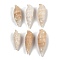 Natural Spiral Shell Beads, Shell Shape, Top Drilled, Beige, 39~53x13~18mm, Hole: 1.5mm, about 83pcs/500g