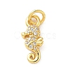 Brass Micro Pave Cubic Zirconia Charms KK-I381-07G-03-1