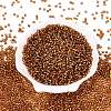 8/0 Glass Seed Beads SEED-A005-3mm-22C-2