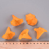 Transparent Acrylic Beads BSF796-C19-6