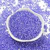 Electroplate Transparent Glass Seed Beads SEED-S042-16A-06-2