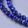 Natural Lapis Lazuli Beaded Necklaces NJEW-K114-A-A06-2
