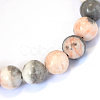 Natural Pink Zebra Jasper Round Bead Strands G-E334-10mm-11-3