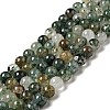 Natural Fuchsite Beads Strands G-K285-40B-1-1