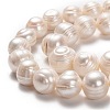 Natural Cultured Freshwater Pearl Beads Strands PEAR-L033-93-2