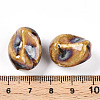 Handmade Porcelain Beads PORC-N008-06L-3