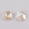 K9 Glass Rhinestone Pendants GLAA-F083-03A-04-2