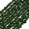 Natural Green Diopside Beads Strands G-P615-B01-01-2
