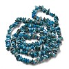 Natural Apatite Beads Strands X-G-F666-01B-02-01-3