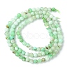 Natural Chrysoprase Beads Strands G-F748-X01-03B-3