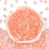 Transparent Spray Painted Glass Seed Beads SEED-L011-10A-10-2