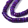 Natural Freshwater Shell Beads Strands SHEL-S278-025-4