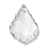 Transparent Glass Pendants GLAA-R223-16-1