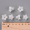 Transparent Acrylic Beads PLF018-01-5