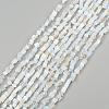 Chip Opalite Beads Strands X-G-N0134-15-4