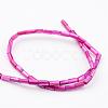 Natural Shell Bead Strands BSHE-P016-09-2