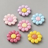 Opaque Resin Cabochons CRES-D317-001-1