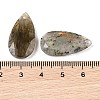 Natural Labradorite Pendants G-M440-01F-3