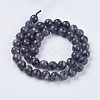 Natural Larvikite Beads Strands G-G542-8mm-27-2