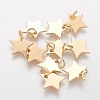Ion Plating(IP) 304 Stainless Steel Charms STAS-Q201-T461G-1