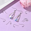 SHEGRACE Brass Earring Hooks XGR0138P-154P-5