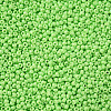 11/0 FGB Grade A Baking Paint Glass Seed Beads X-SEED-N001-A-1023-2