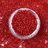 FGB 11/0 Grade A Glass Seed Beads X-SEED-S030-1016-3