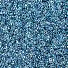 MIYUKI Round Rocailles Beads SEED-X0054-RR0279-4