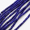 Natural Howlite Beads Strands G-F320-06-1