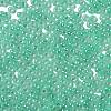 Glass Seed Beads SEED-H002-E-A1417-3