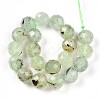 Natural Prehnite Beads Strands G-S345-10mm-28-3