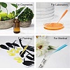 2ml Disposable Plastic Dropper TOOL-WH0031-01-7