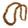 Natural Amber Chip Beaded Necklaces NJEW-L466-03A-4
