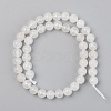 Electroplated Natural White Moonstone Beads Strands G-S369-012C-C-2