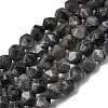 Natural Larvikite Beads Strands G-Z119-A32-01-3
