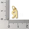 Rack Plating Brass Charms KK-P245-06G-R-3
