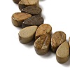 Natural Picture Jasper Beads Strands G-B064-B02-3