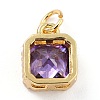 Real 18K Gold Plated Brass Inlaid Cubic Zirconia Charms ZIRC-L100-073G-05-3